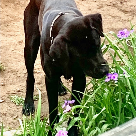 🤸‍♀️📬📮SHIP NEXT BUSINESS DAY!📮📬🤸‍♀️ - Picture 10 of 10